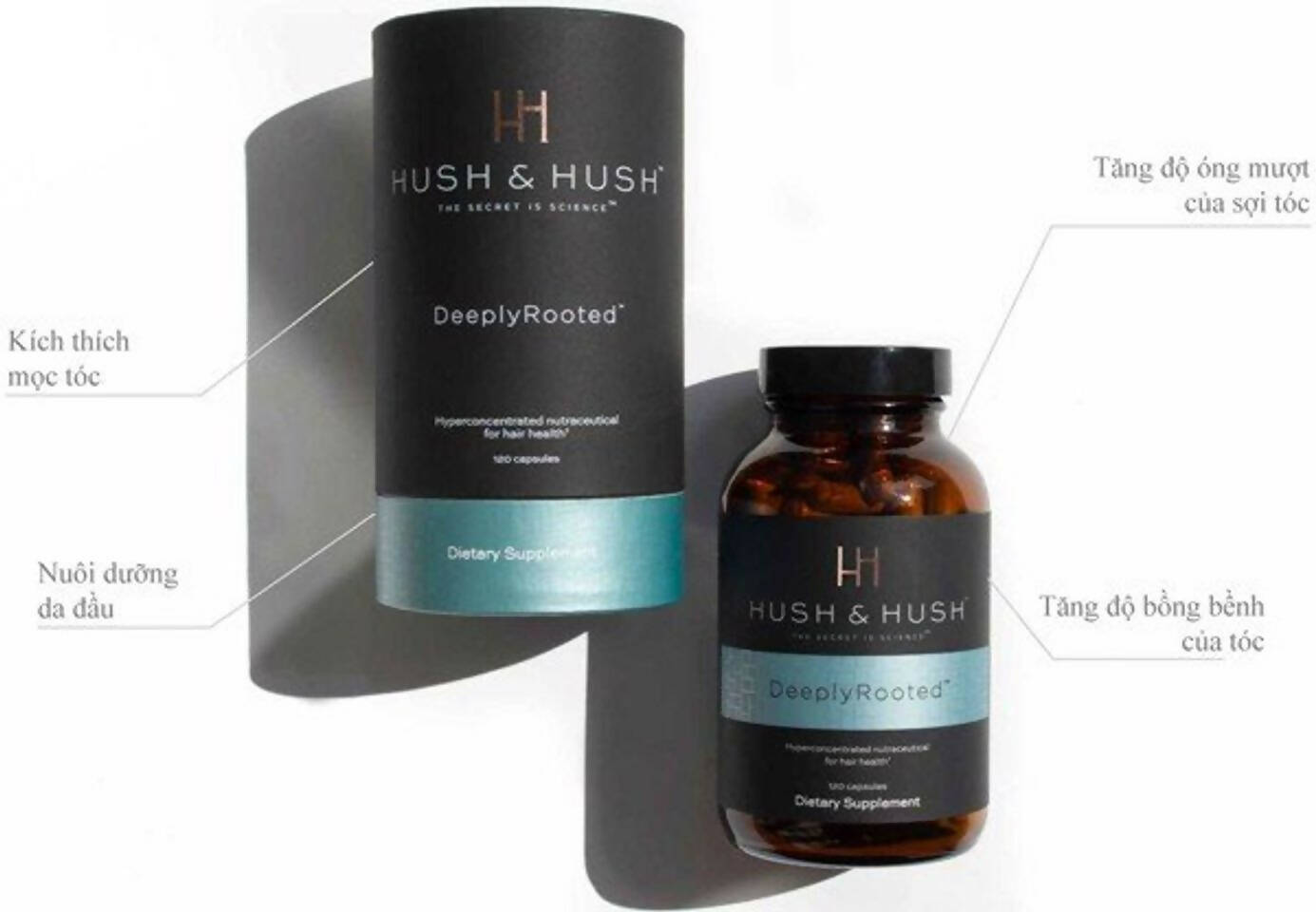 Hush & Hush Deeply Rooted